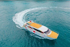 ทัวร์เกาะพีพี เกาะไม้ท่อน เกาะไข่ (เรือคาตามารัน+สไลเดอร์)